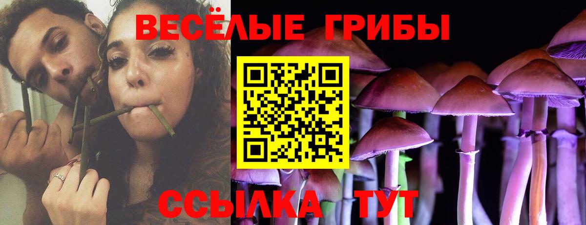 Галлюциногенные грибы мицелий  Вход с VPN  Зеленокумск 